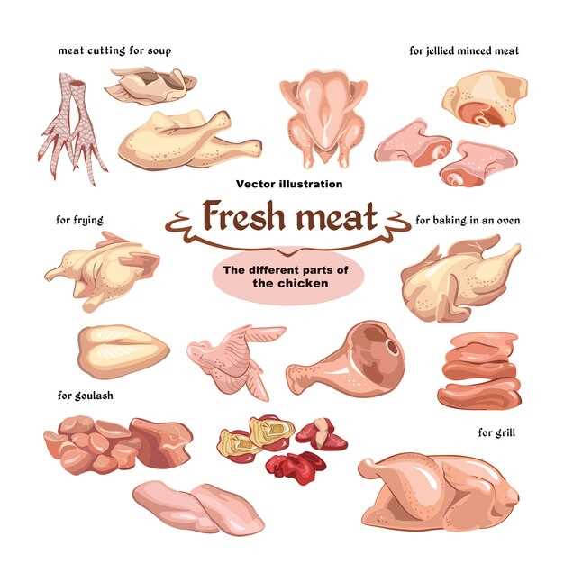 chicken meat parts diagram