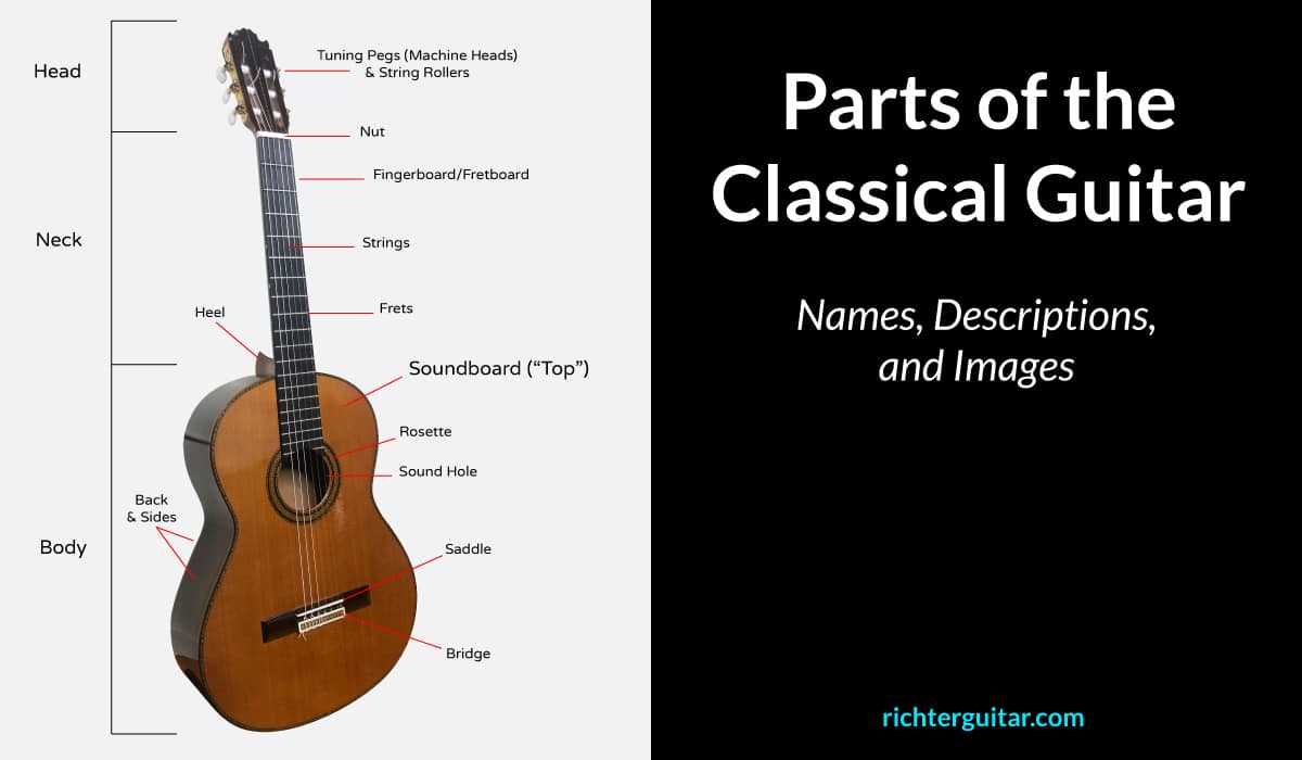 guitar bridge parts diagram