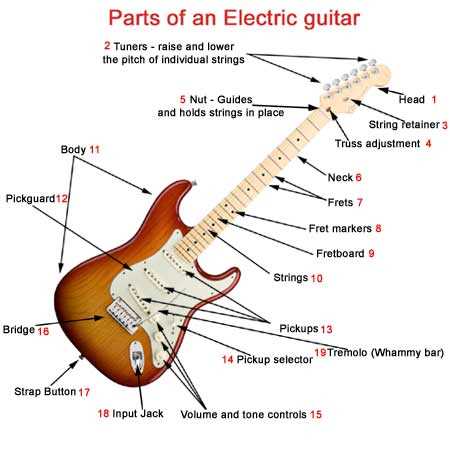 acoustic guitar parts diagram