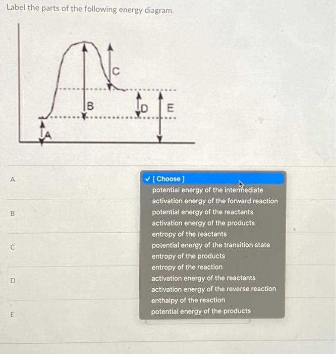 parts of a potential energy diagram