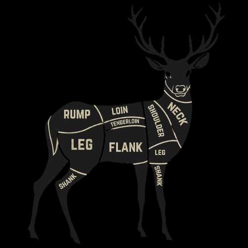 deer meat parts diagram