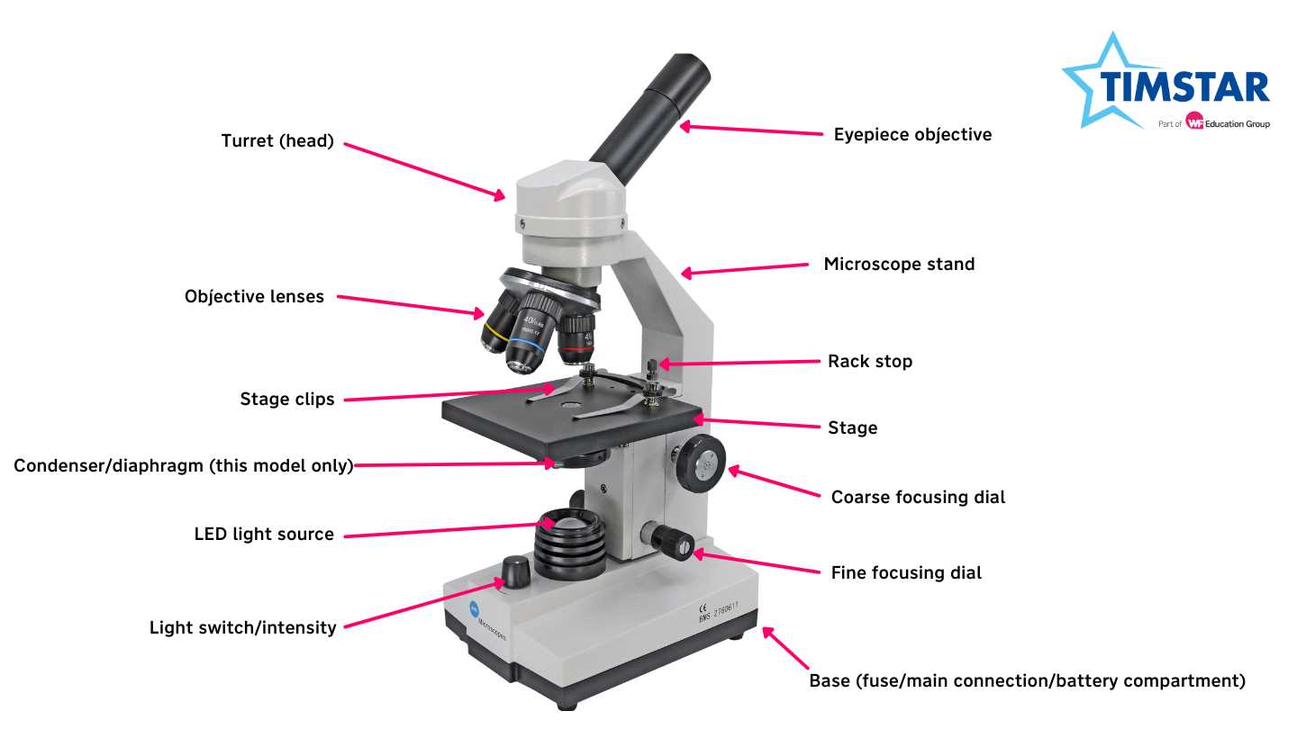 parts of a microscope diagram labeled