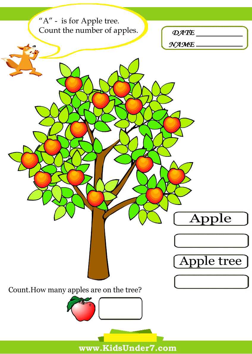 parts of an apple tree diagram