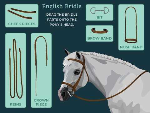 parts of the bridle diagram