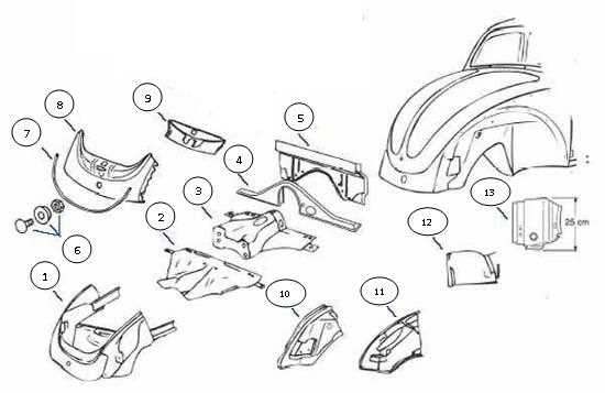 beetle body parts diagram