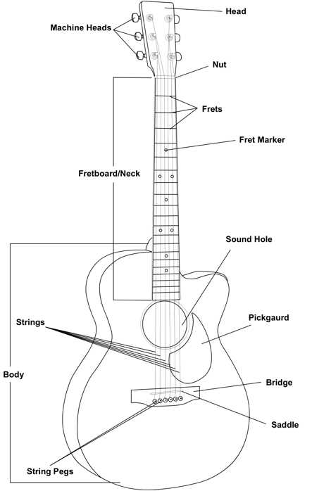 parts of the guitar diagram