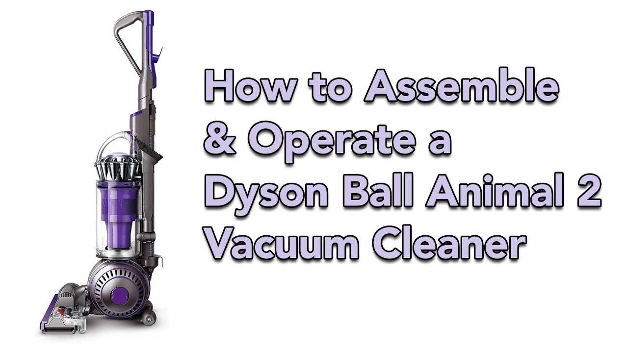 dyson animal 2 parts diagram