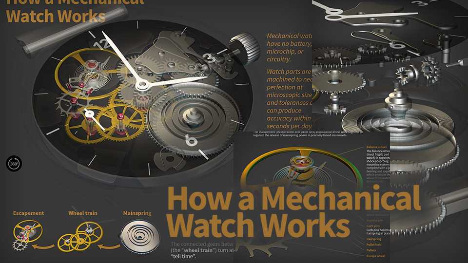 watch diagram part by part