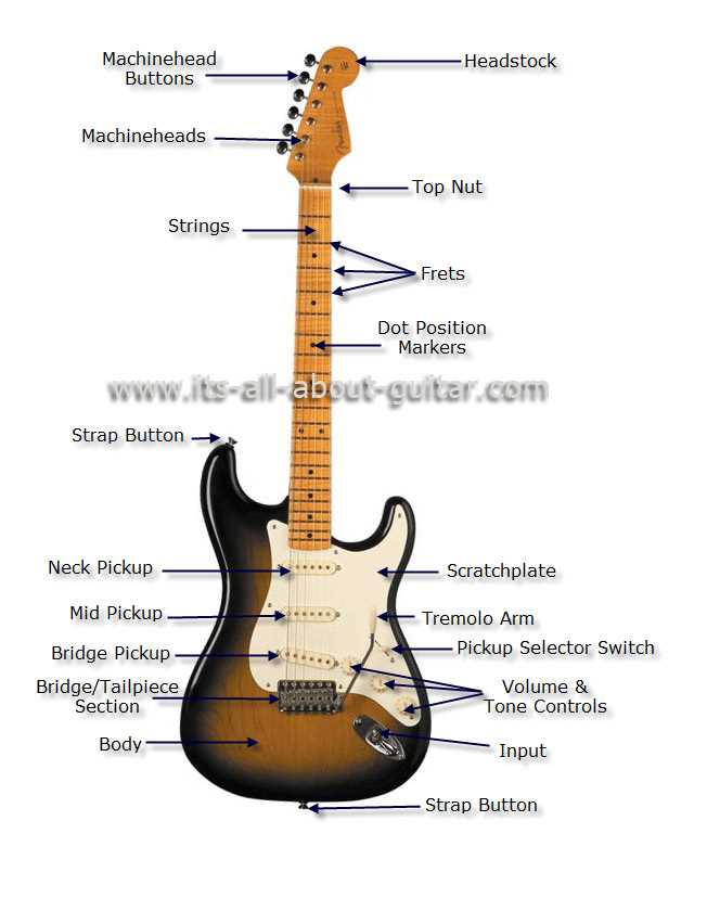 electric guitar diagram parts