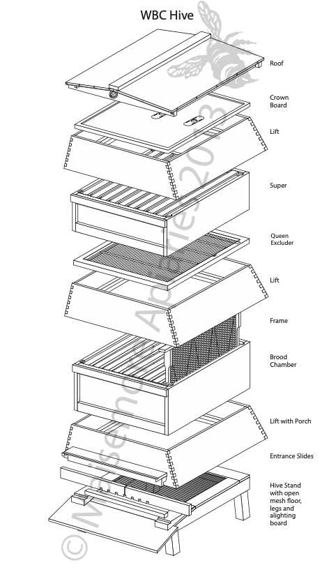 bee hive parts diagram