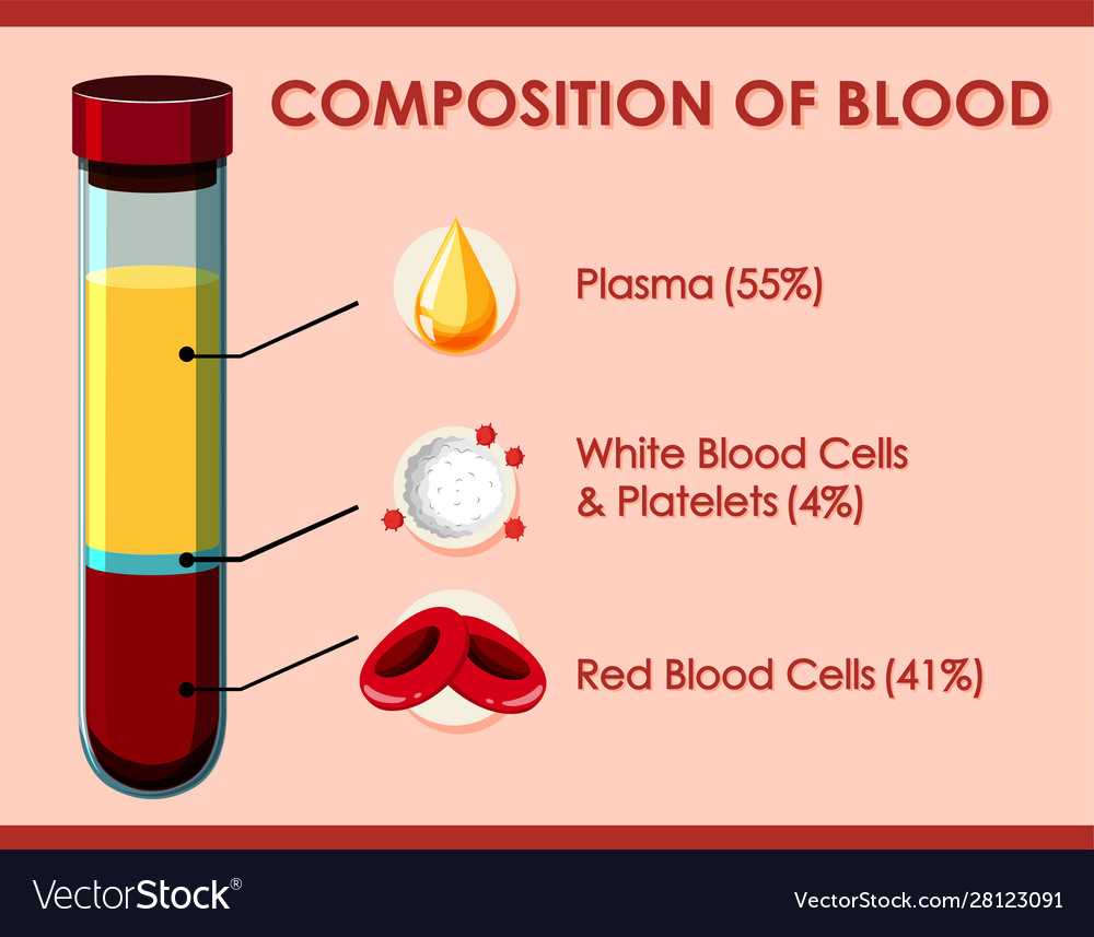 parts of blood diagram