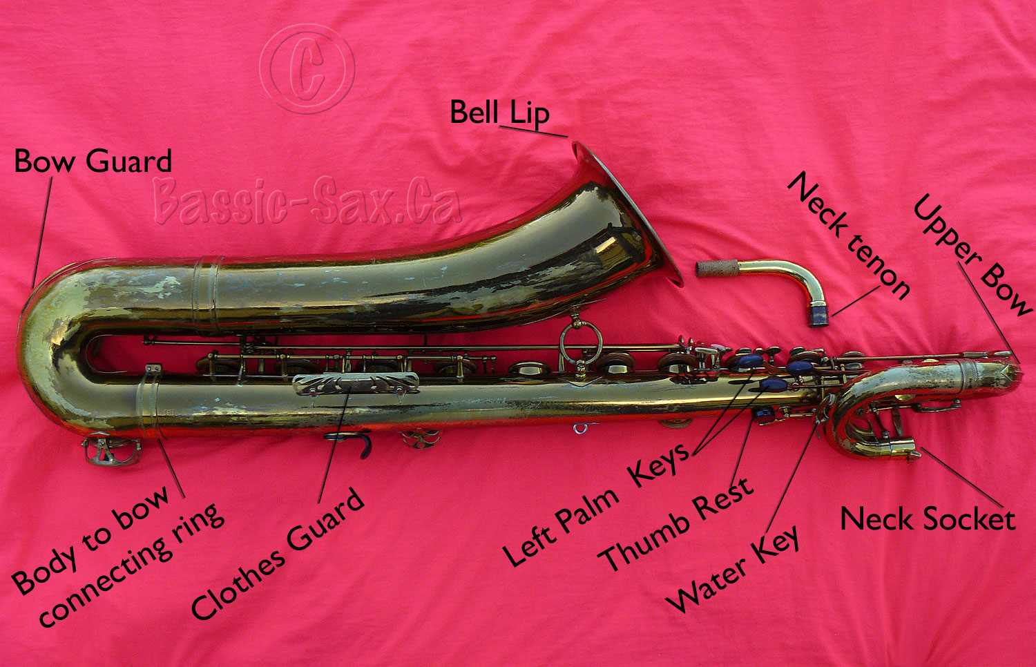 saxophone parts diagram