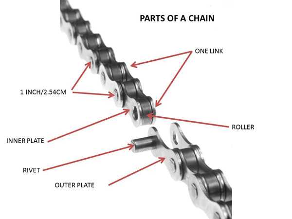 bicycle chain parts diagram