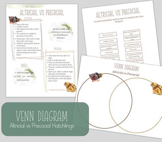 venn diagram of trees and body parts