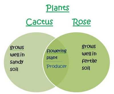 venn diagram of trees and body parts