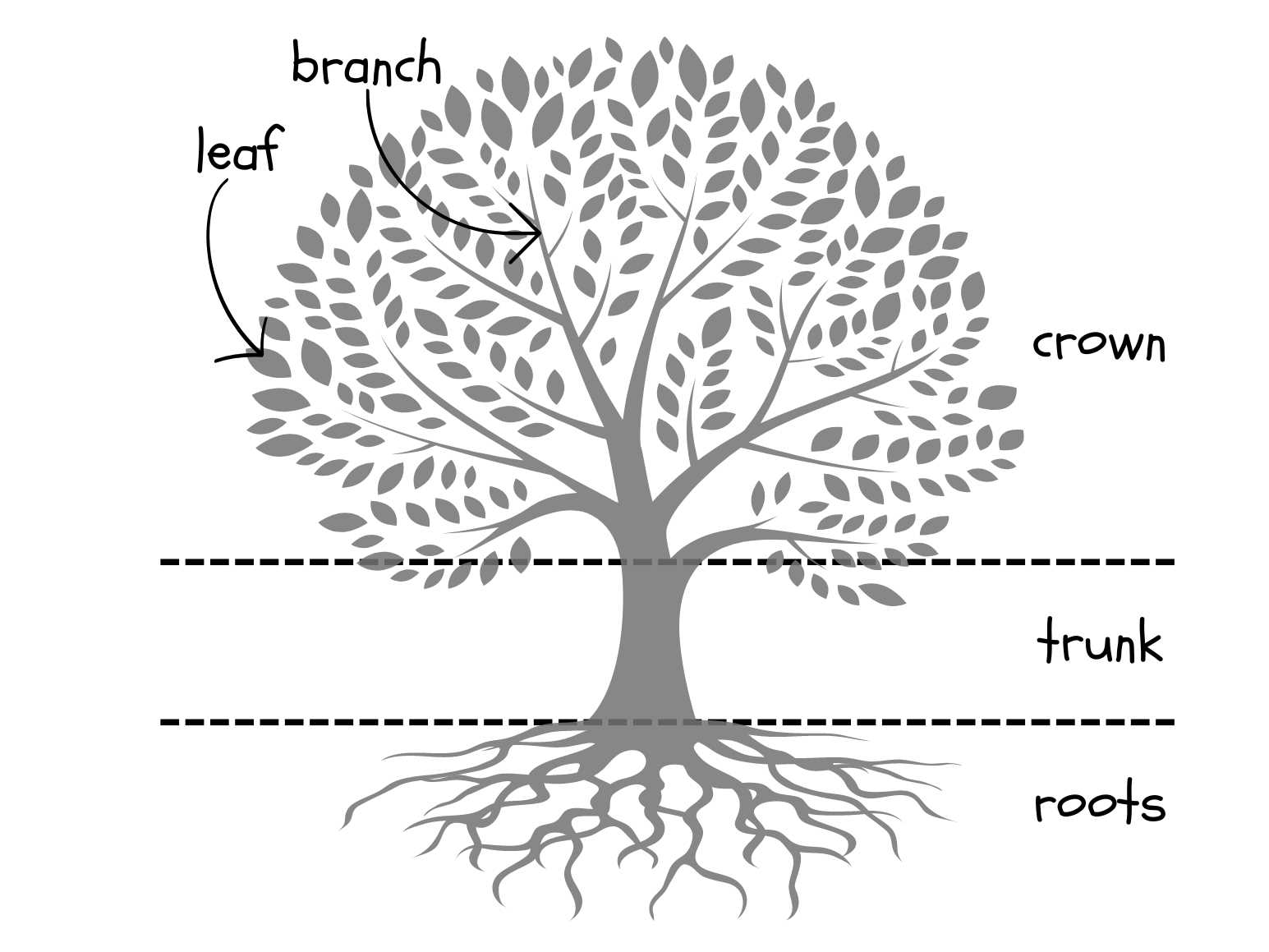 venn diagram of trees and body parts