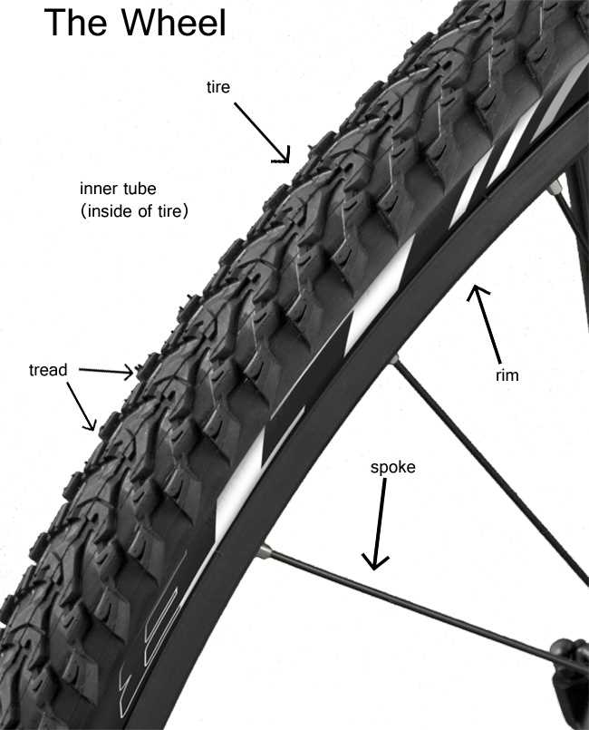 diagram of bike parts