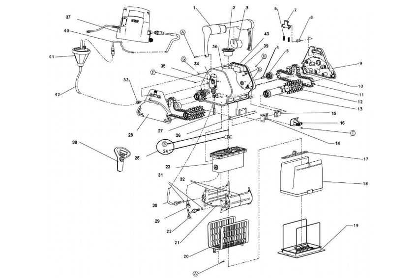 parts of a dolphin diagram