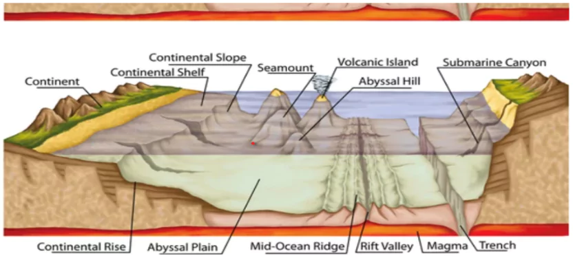 parts of the ocean floor diagram