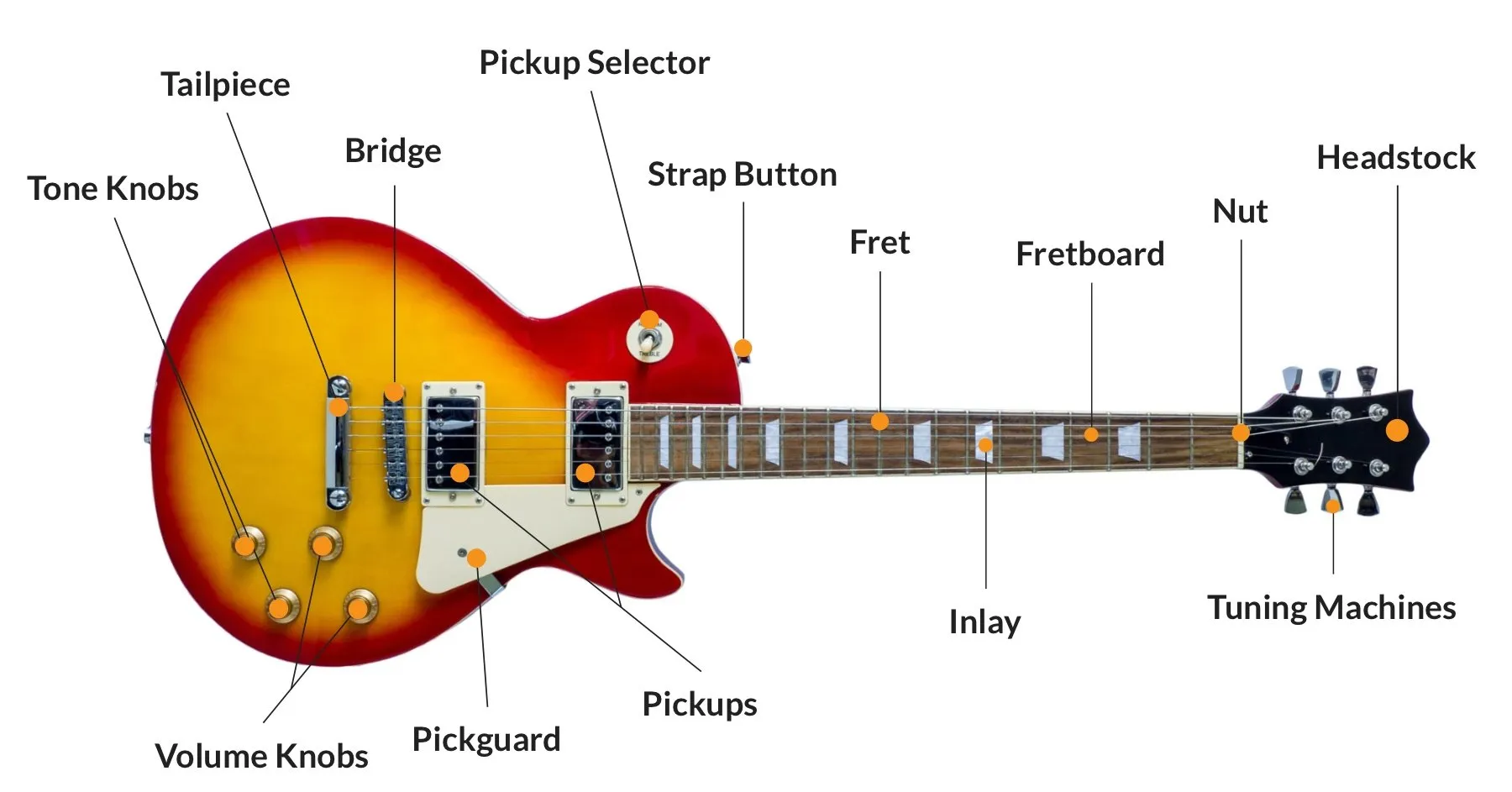 electric bass parts diagram