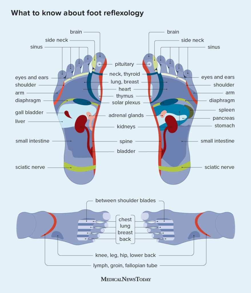 name of foot parts diagram