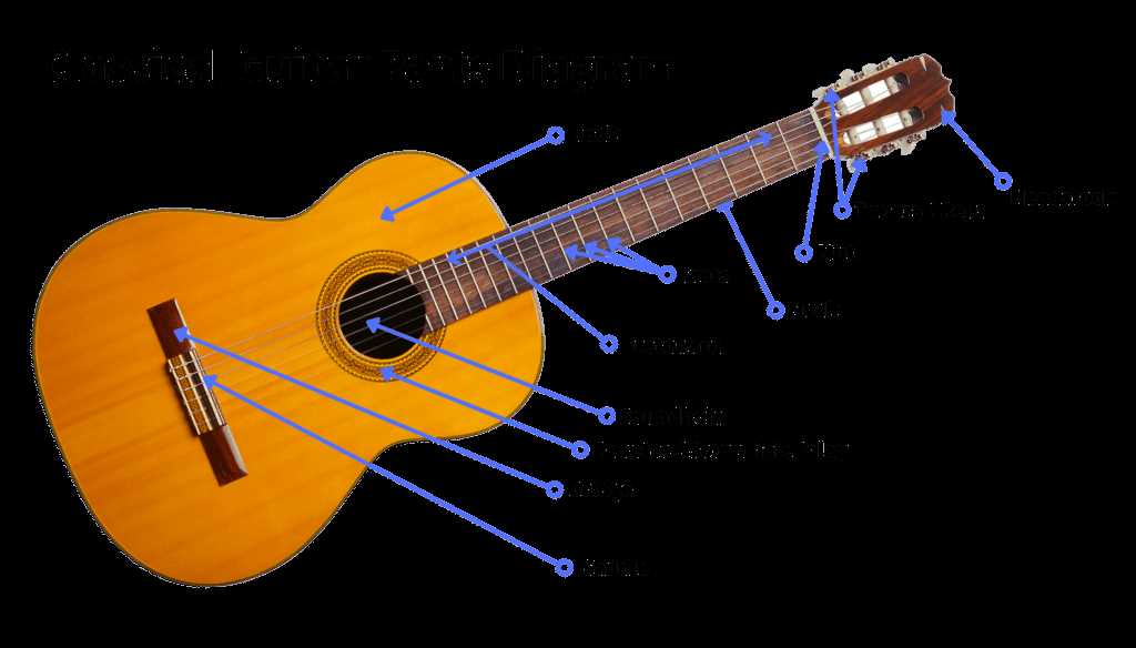 classical guitar parts diagram