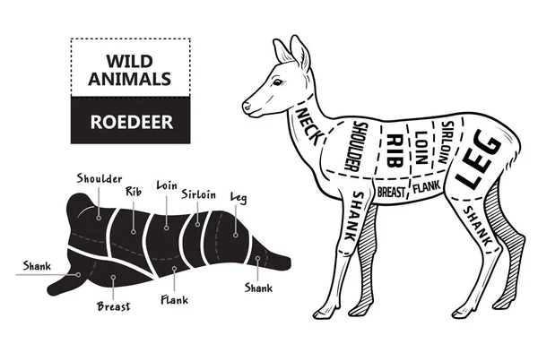 deer meat parts diagram