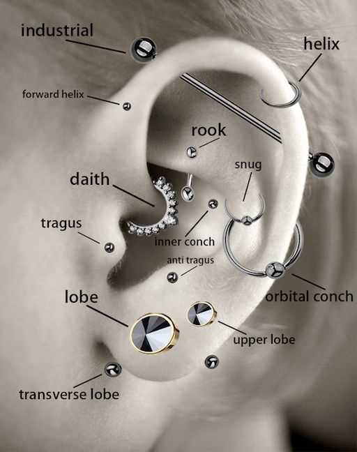 parts of the ear piercing diagram