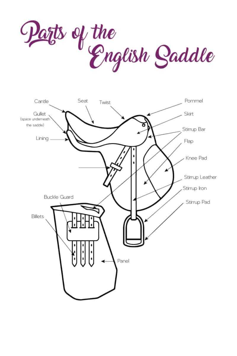 western saddle parts diagram