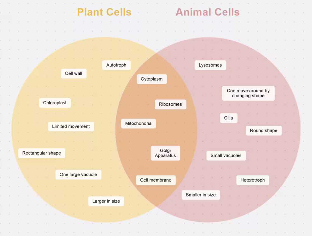 what are the parts of a venn diagram called