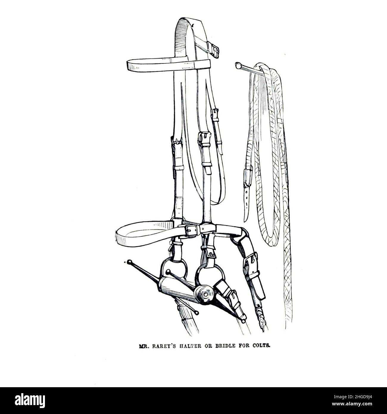 horse bridle parts diagram