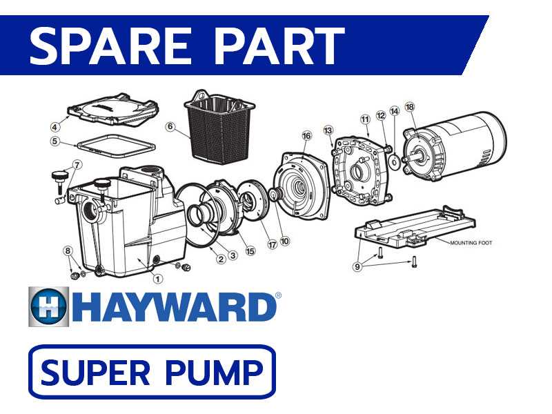 hayward super pump motor parts diagram