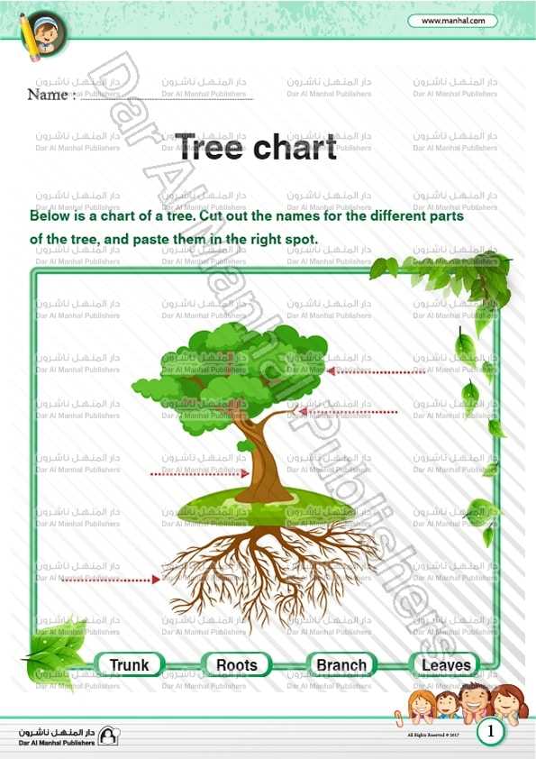 tree diagram parts