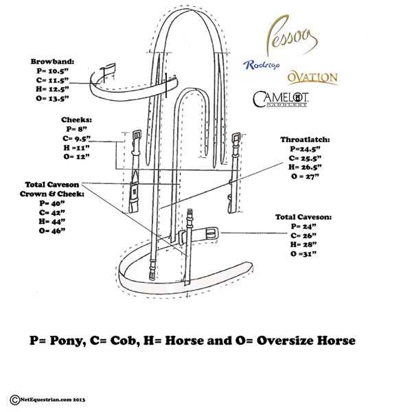 parts of the bridle diagram