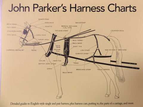 draft horse harness parts diagram