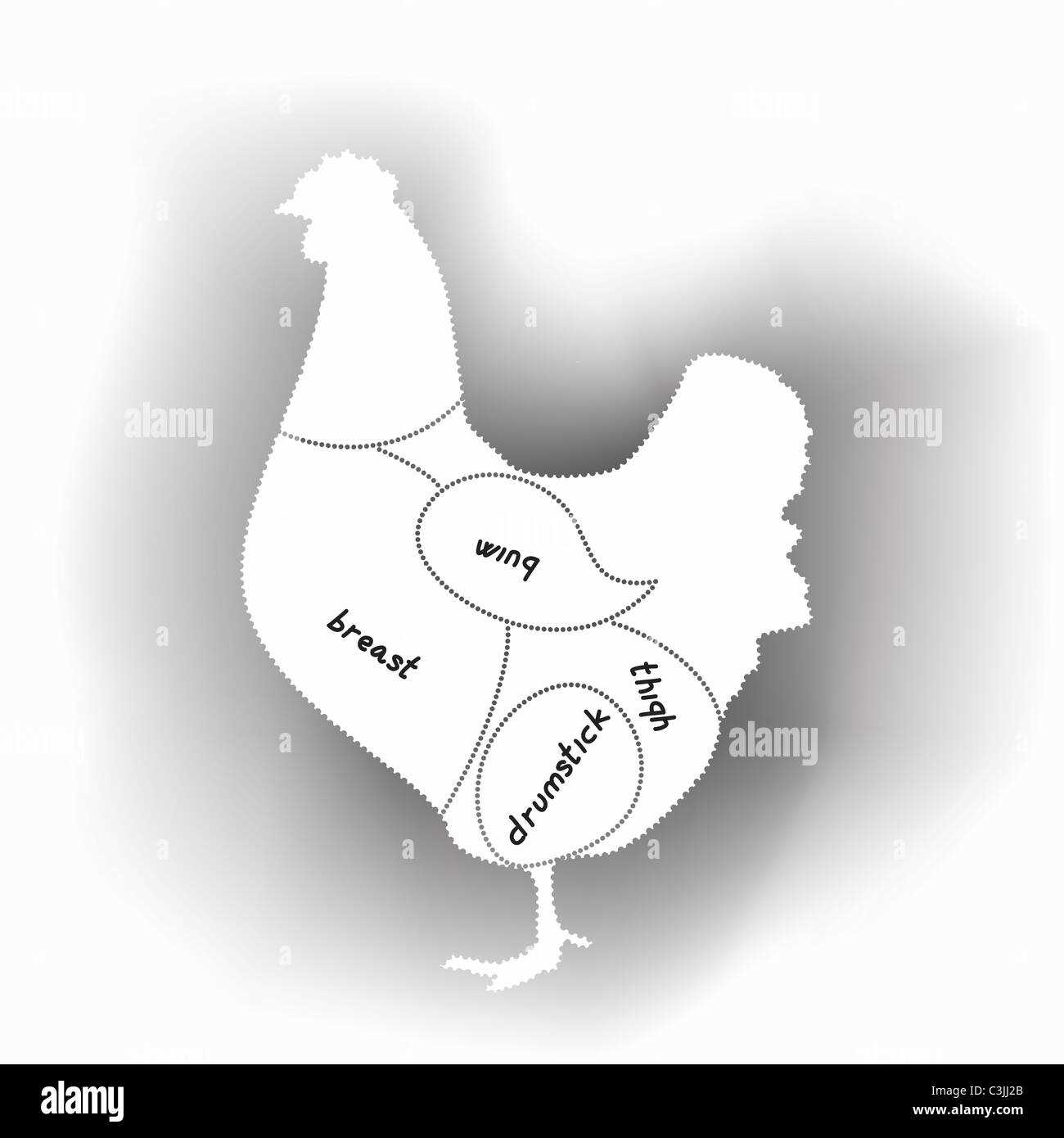 chicken meat parts diagram