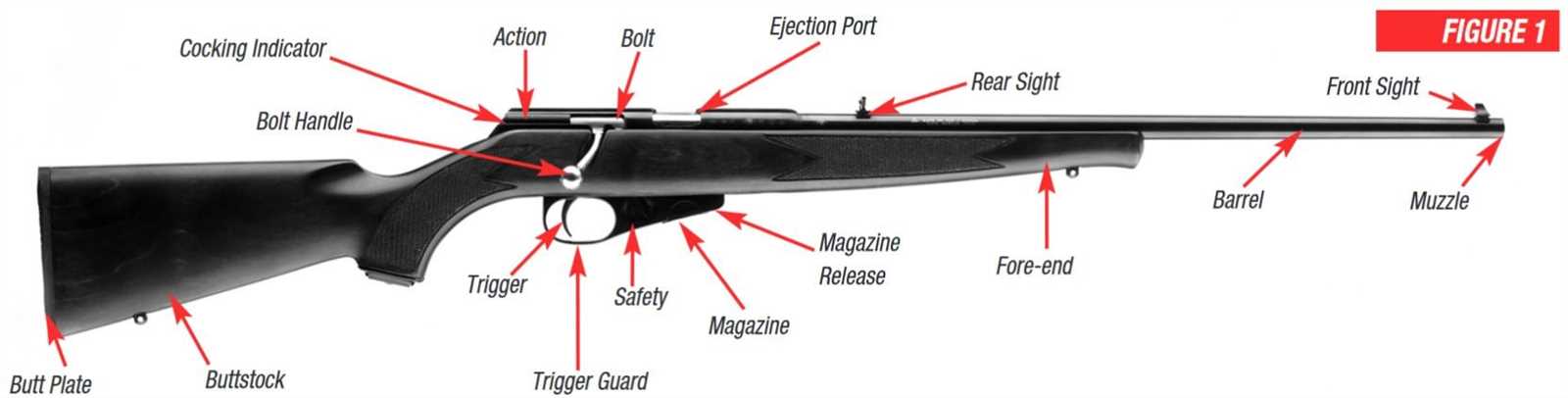 parts of a rifle diagram