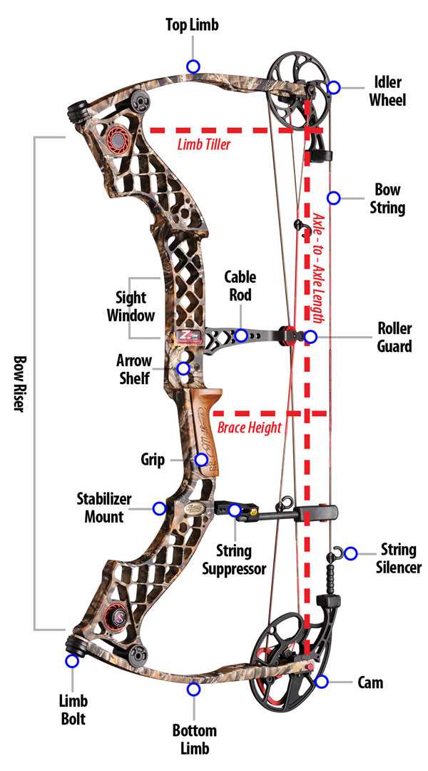 parts of an arrow diagram